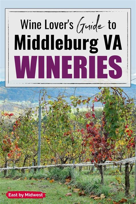 5 Incredible Middleburg, Virginia Wineries That Wine Lovers Need to Visit