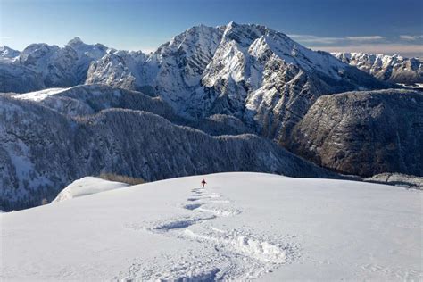 The Best Alpine Ski Resorts to Visit this Winter