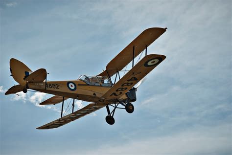 physiognomy: biplanes