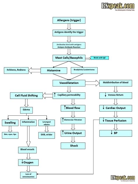 I’m reading Anaphylactic Shock Pathophysiology on Scribd Nursing Student Tips, Nursing Care Plan ...