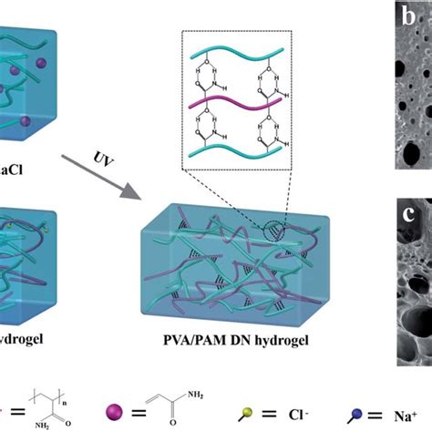 Mechanical properties of the hydrogel electrolytes at sub-zero... | Download Scientific Diagram