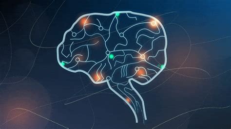 Brain Mapping Method Illuminates Targets for Treating Depression and Parkinson’s Disease - Tech ...