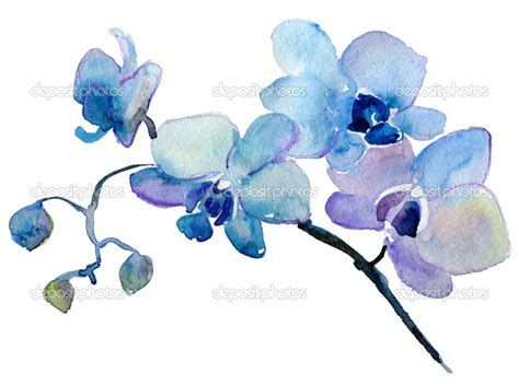 Orchid watercolor painting | Tatuajes de flores de acuarela, Tatuajes ...