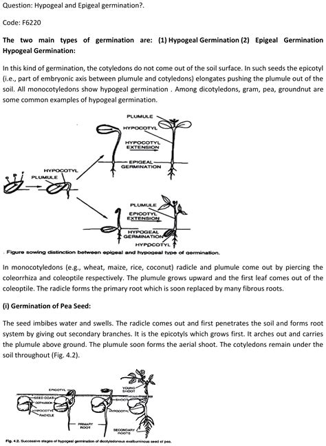 95. explain epigeal and hypogeal seed germination with diagram.