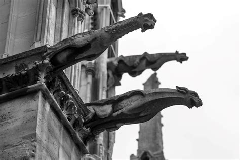 What Is A Gargoyle? | Crown Asia