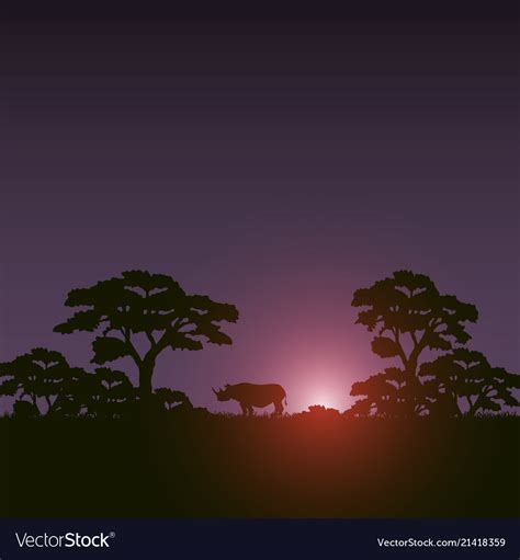 Sunset scene african landscape with silhouette Vector Image