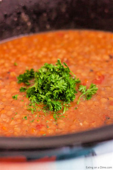 Slow Cooker Lentil Soup Recipe - Easy and Delicious!