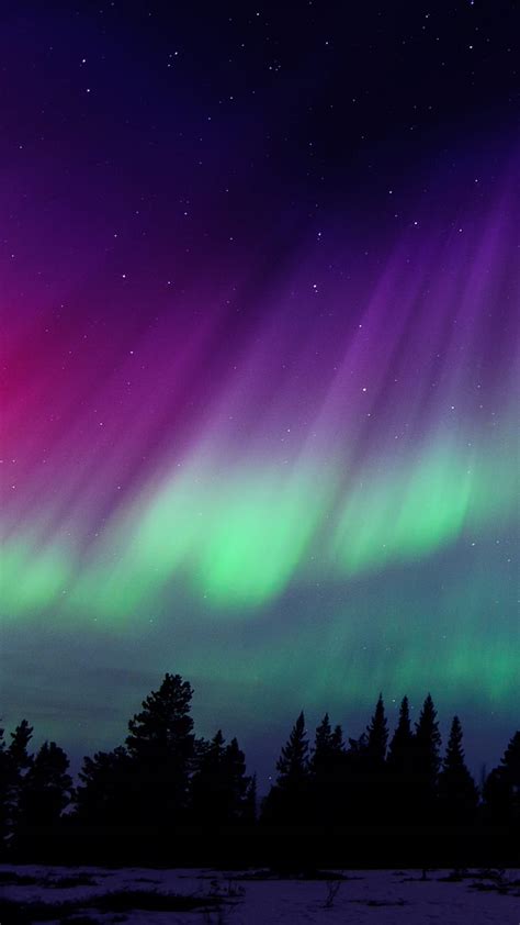 1920x1080px, 1080P free download | Aurora borealis, forest, night ...