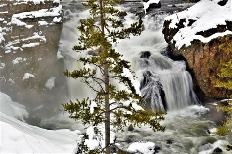 Yellowstone in Winter – Live Fun Travel | Adventure Travel Blog