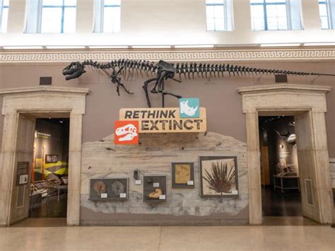 What It's Like to Visit the Buffalo Museum of Science - Uncovering New York