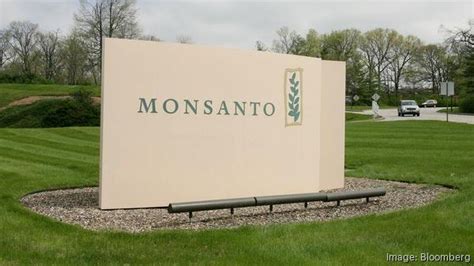 Monsanto settles with farmers over GMO wheat - St. Louis Business Journal