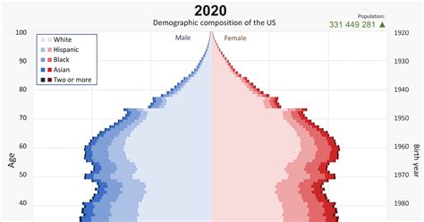 United States Age Demographics 2024 - Leah Lisabeth