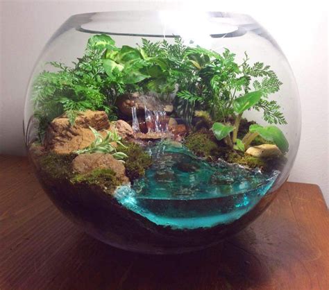 How to make water for a terrarium? - Resin Obsession