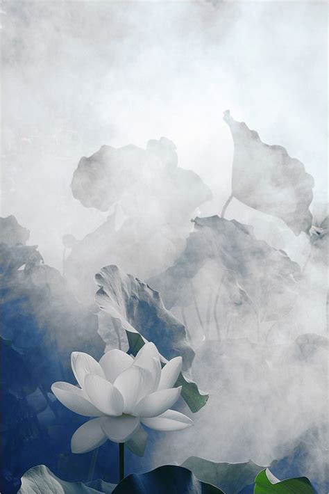 White Lotus Flower - Surreal Series: DD0A8981-800 | by Bahman Farzad ...