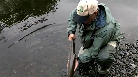 Salmon Fishing Ireland 2016 - YouTube