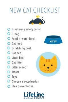 Pin on Cat Care Tips