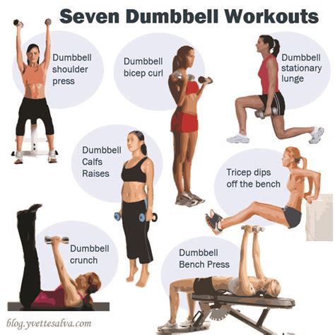 Belly Fat Burning Exercises With Dumbbells – Online degrees