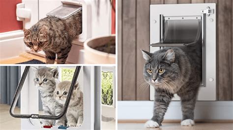 Meow to Go! Testing Out 6 Cat Doors for Your Garage Door