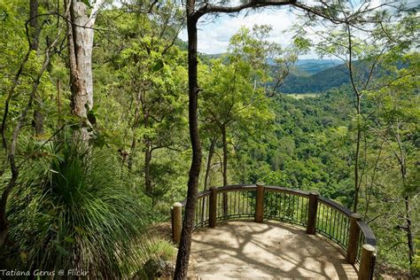 Balcony to the green world - Kondalilla National park | Flickr