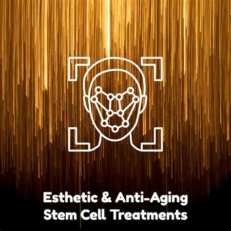 Esthetic and Anti-Aging Stem Cell Therapy Cost and Info - Dreambody Clinic