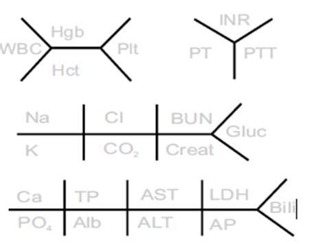 "Other" fishbone diagram options. Apparently there's some variation either regionally, by ...