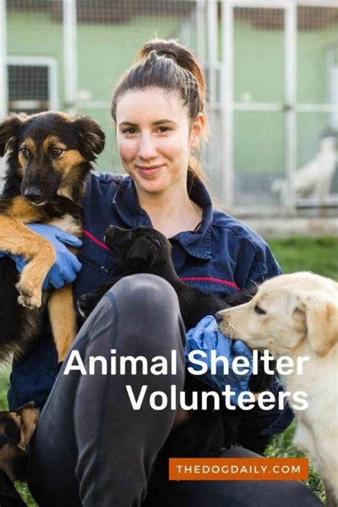 Animal Adoption Volunteers | Animal shelter volunteer, Dog trainer ...