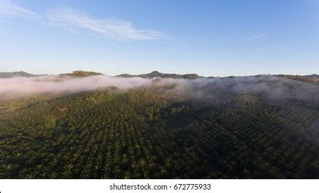 36 Sawit kinabalu Images, Stock Photos & Vectors | Shutterstock