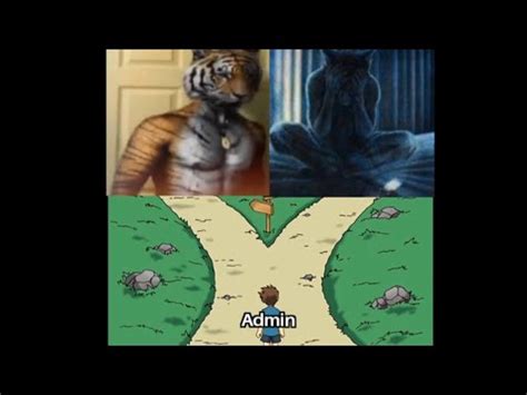 Meme Agus Tiger Vs Roger Sumatra - YouTube