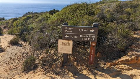 Best Torrey Pines Hikes - Tips from a San Diego Hiker