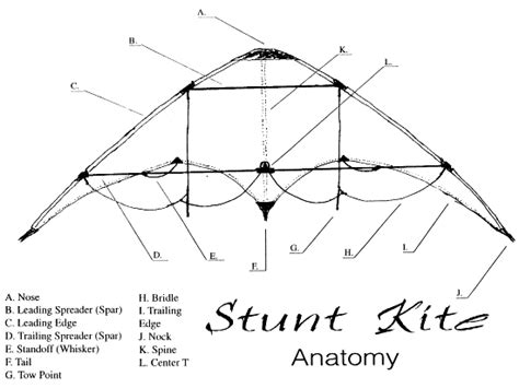 Frequently Asked Kite Questions | MACkite - Where FUN Begins!