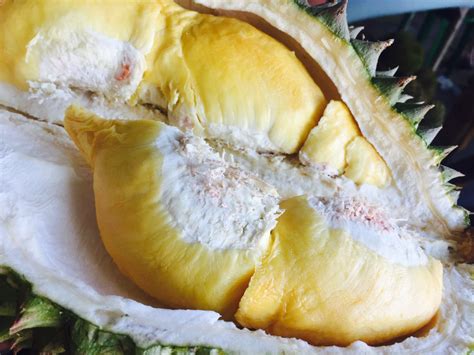 The World’s Weirdest and Most Exotic Fruits | Delishably