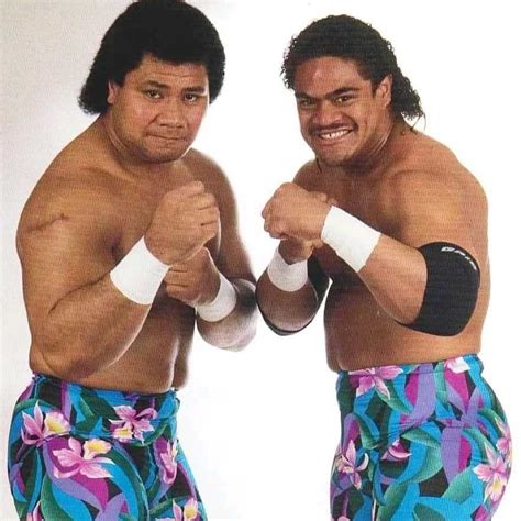 Haku&Toma... THE ISLANDERS | Wrestling wwe, World championship ...