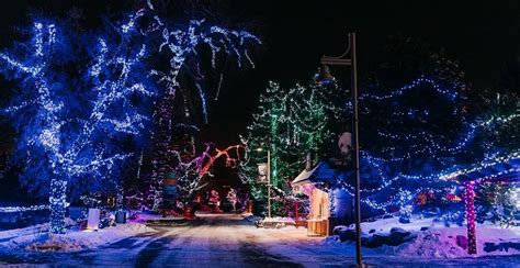 11 photos of this year's spectacular ZooLights display | Listed