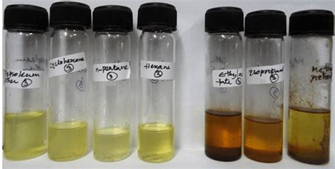 Castor oil samples extracted with non-polar (left 4) and polar solvents ...