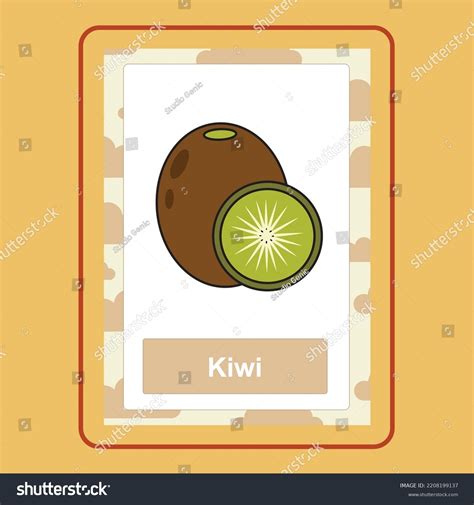 Flashcard Kiwi Vector Cartoon Cute Doodle Stock Vector (Royalty Free ...