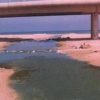 Pollution by leaching waste water (Gaza Valley) | Download Scientific ...