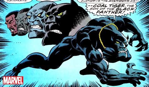 'Black Panther: Wakanda Forever' mid-credit scene explained: T’Challa’s ...