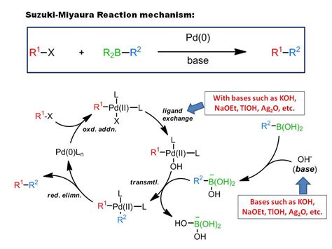 Scorch tlustý žák suzuki miyaura coupling mechanism příležitost Krutý negativní