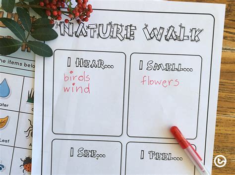 11 Nature Walk Activities for Kids to Add to Your Teacher Toolkit ...