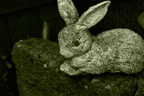 Weathered Bunny Free Stock Photo - Public Domain Pictures
