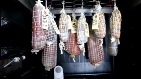 How to choose the best meat curing chamber? Cure meat as a Pro!