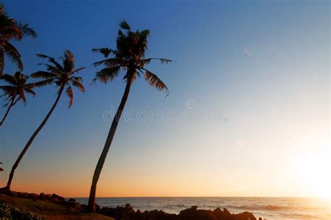 394 Varkala Beach Sunset Stock Photos - Free & Royalty-Free Stock ...