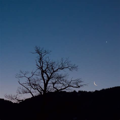 Moon and Venus - Philipp Salzgeber photography