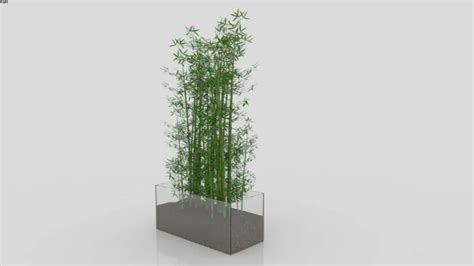 bamboo | 3D Warehouse