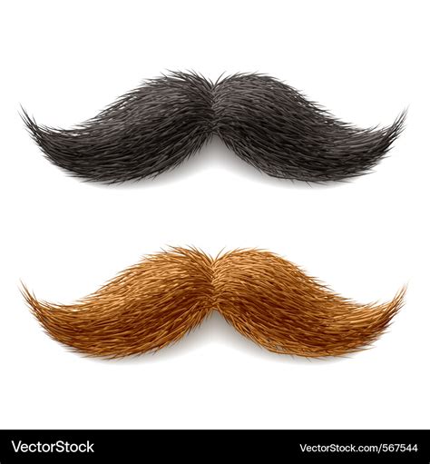 Fake mustaches Royalty Free Vector Image - VectorStock