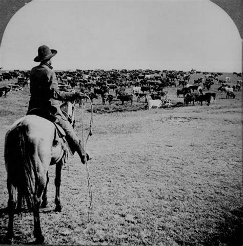 American Frontier: 48 Historic Photos Of Life In The Real "Wild West"