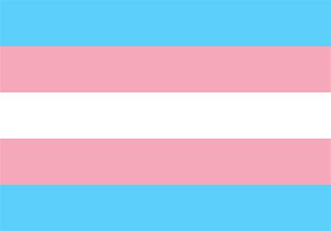 Transgender Flag Digital Art by Paul Milam