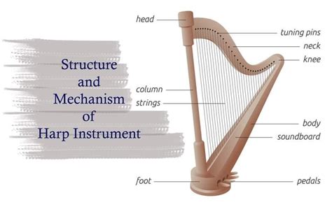 Harp The Stringed Instrument - part 1 | by Ahmed Ibrahim | Medium