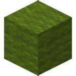 Wool – Official Minecraft Wiki