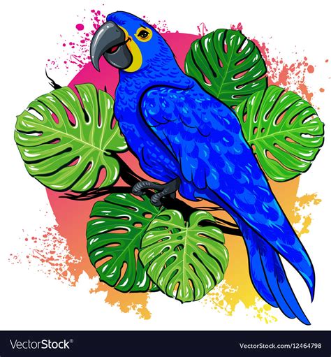 Beautiful summer drawing with parrot palm Vector Image